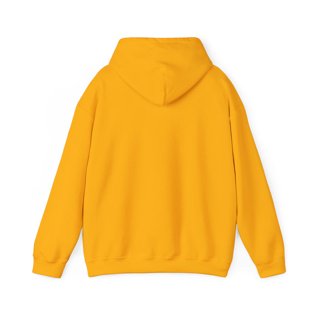 Women  Hoodie – Unlearn Truama